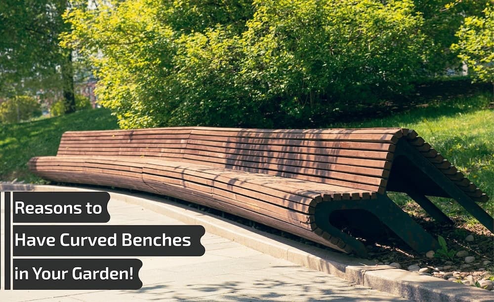 Reasons to have Curved Benches in your Garden Reasons to have Curved Benches in your Garden