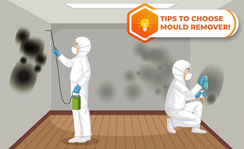 Tips to Choose Mould Remover Tips to Choose Mould Remover