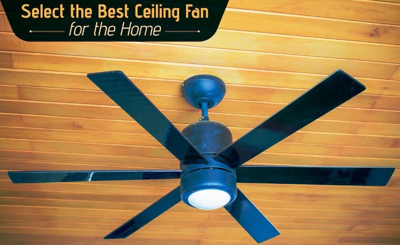 Ceiling fan for your house Ceiling fan for your house