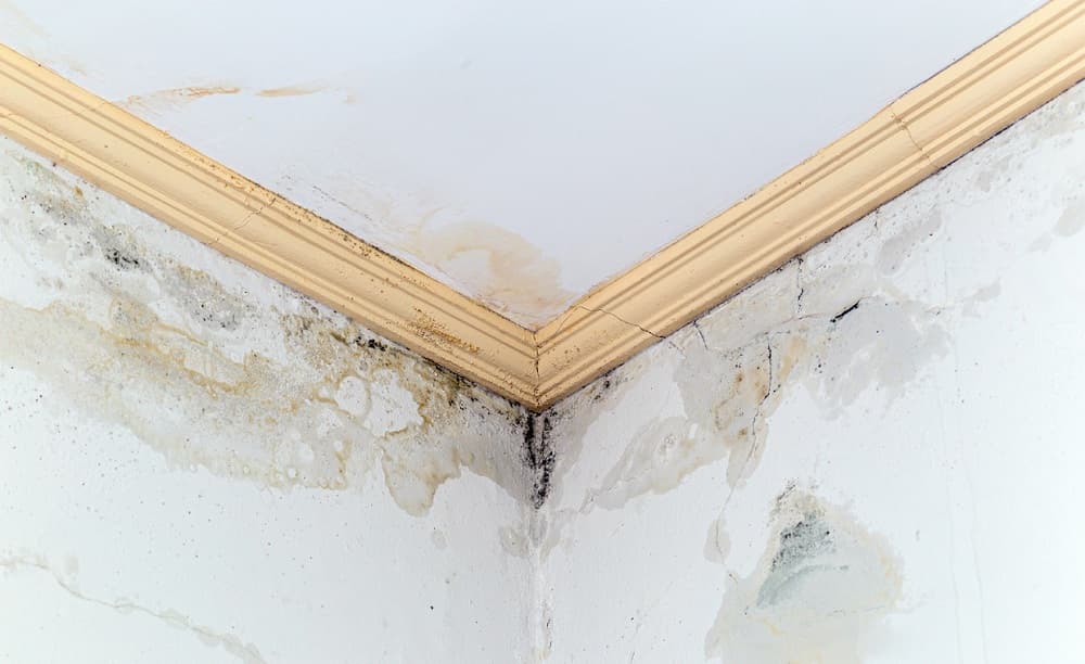 How to Address Common Roofing Problems How to Address Common Roofing Problems