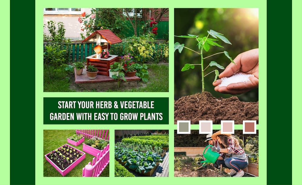 Start Your Herb & Vegetable Garden With Easy To Grow Plants Start Your Herb & Vegetable Garden With Easy To Grow Plants