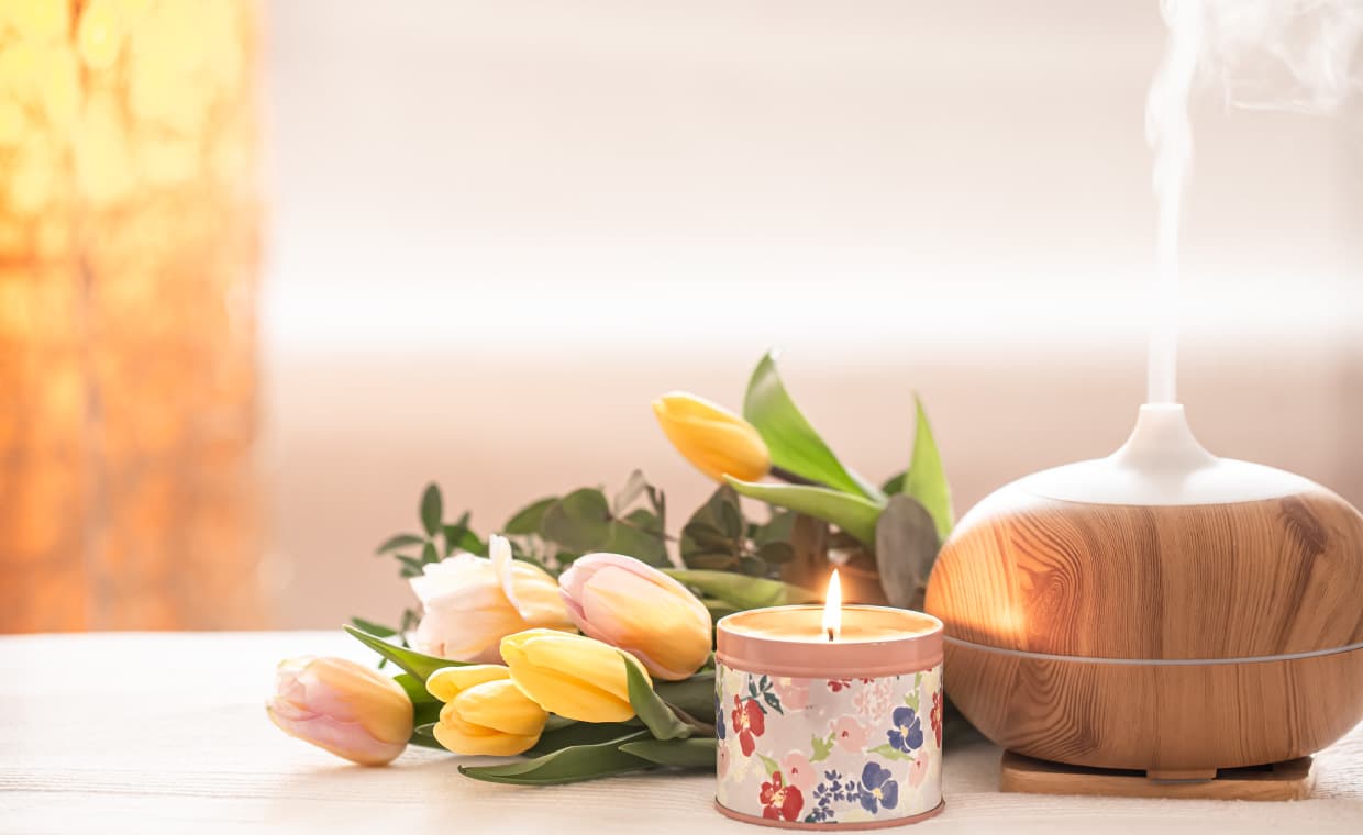 The Ultimate Guide to Choosing the Best Air Freshener for Your Home The Ultimate Guide to Choosing the Best Air Freshener for Your Home