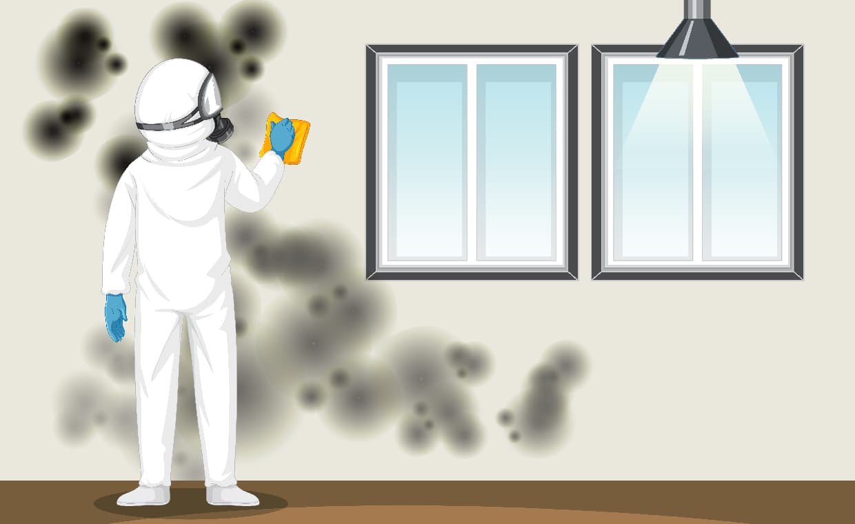 Mold testing methods Mold testing methods