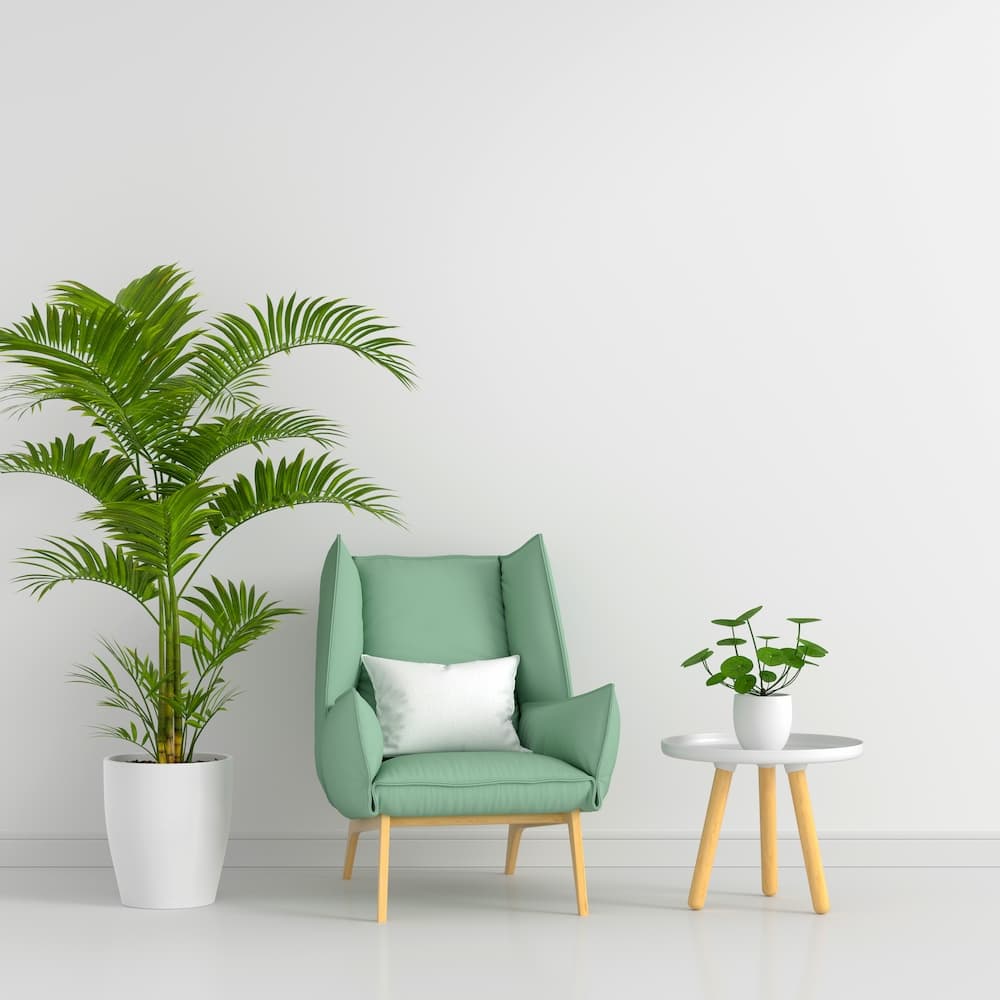 Indoor Plants That Bring Positive Energy Indoor Plants That Bring Positive Energy