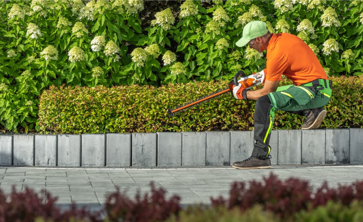 Landscape Design and Maintenance Landscape Design and Maintenance