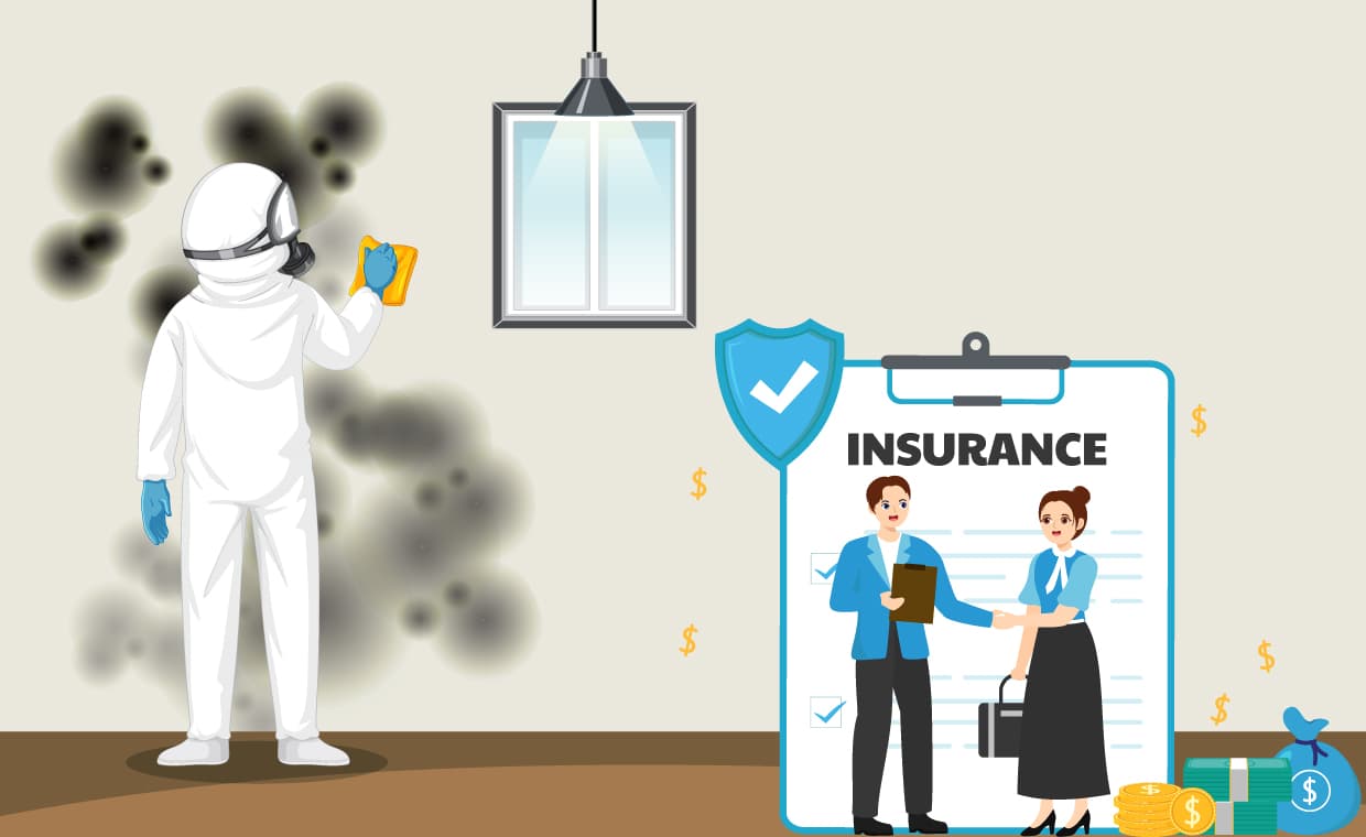 Mold Insurance Claims Mold Insurance Claims