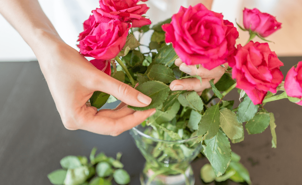 How to Make Roses Last Longer How to Make Roses Last Longer