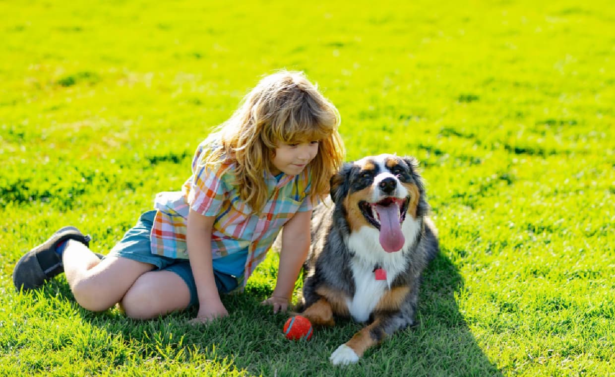 Creating a Healthy Lawn for Kids and Pets Creating a Healthy Lawn for Kids and Pets