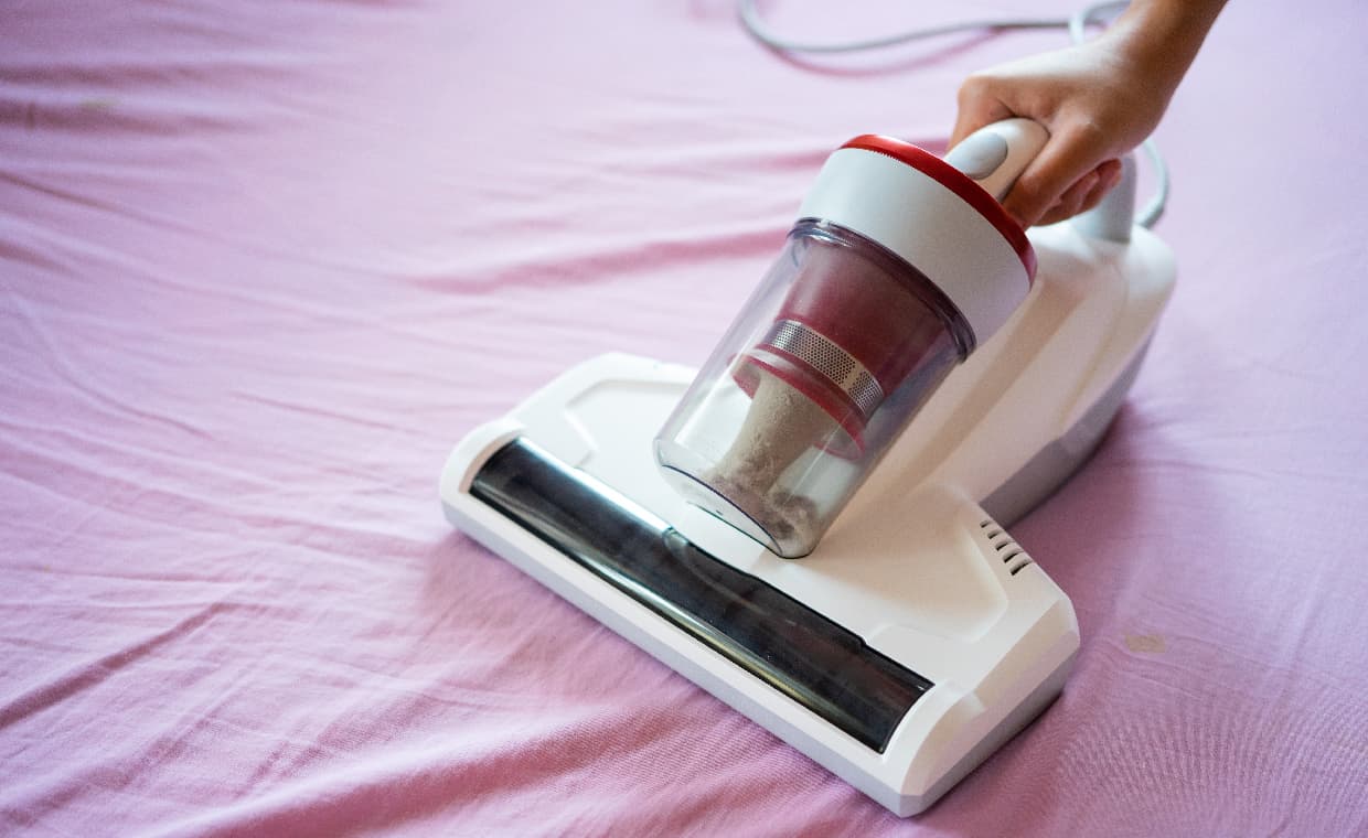 Getting rid of dust mites Getting rid of dust mites