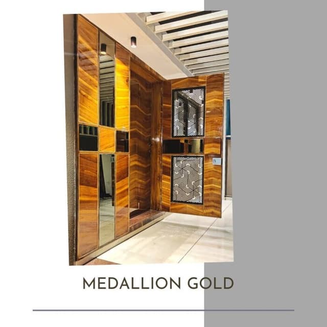 Large Wooden Door with a Full-Length Mirror Large Wooden Door with a Full-Length Mirror