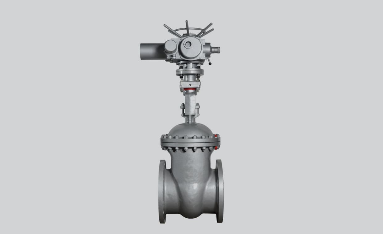 Globe Valves with ARX24-MFT-T Actuators Globe Valves with ARX24-MFT-T Actuators