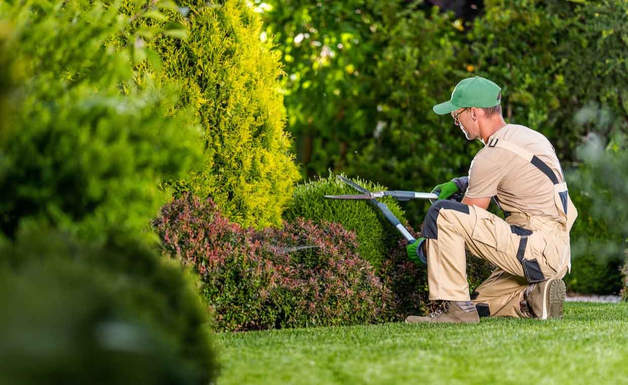 Hire a Professional Landscaper Hire a Professional Landscaper