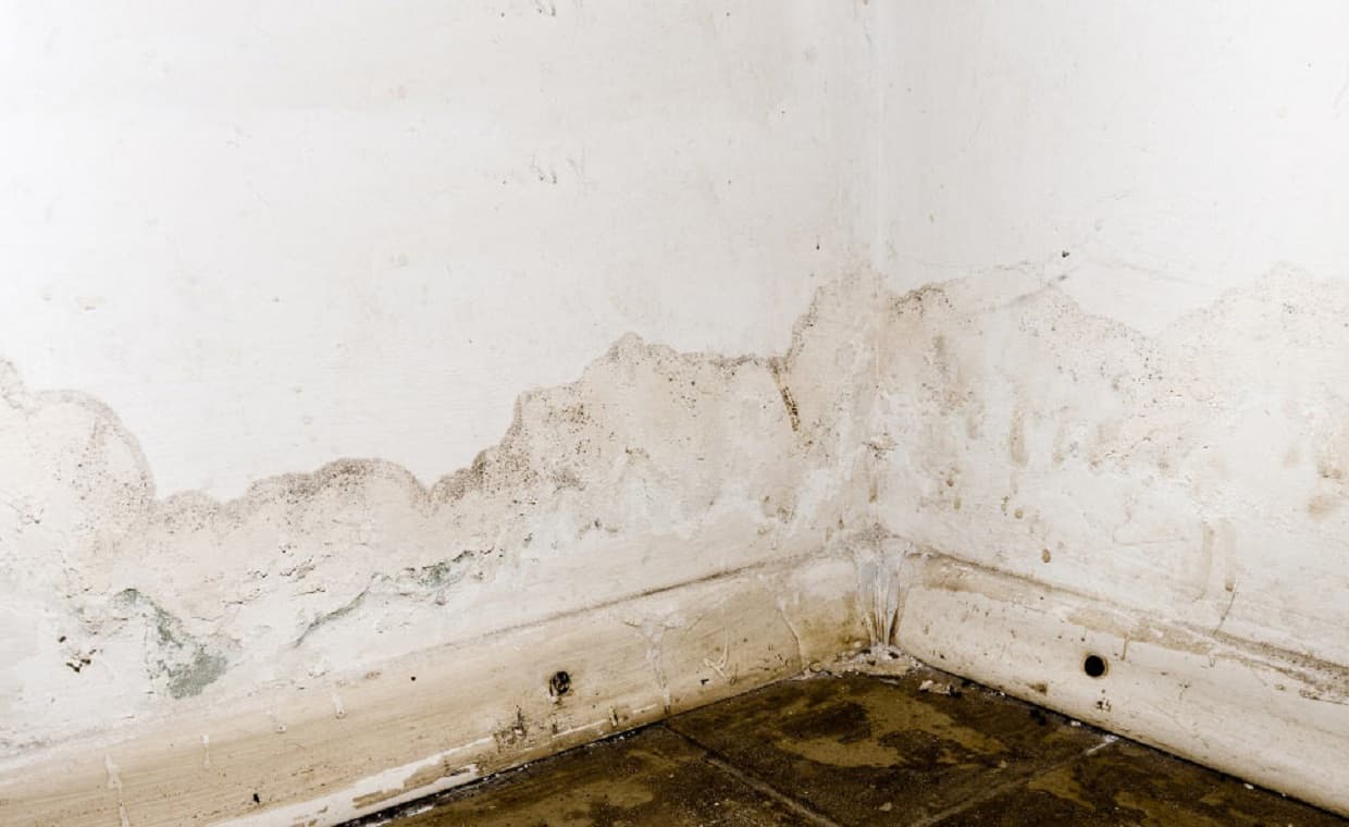 Damp Basement Solutions Damp Basement Solutions