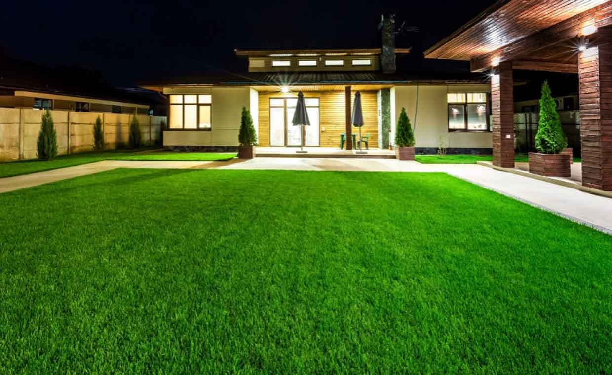 Family-Friendly Grass Types Family-Friendly Grass Types