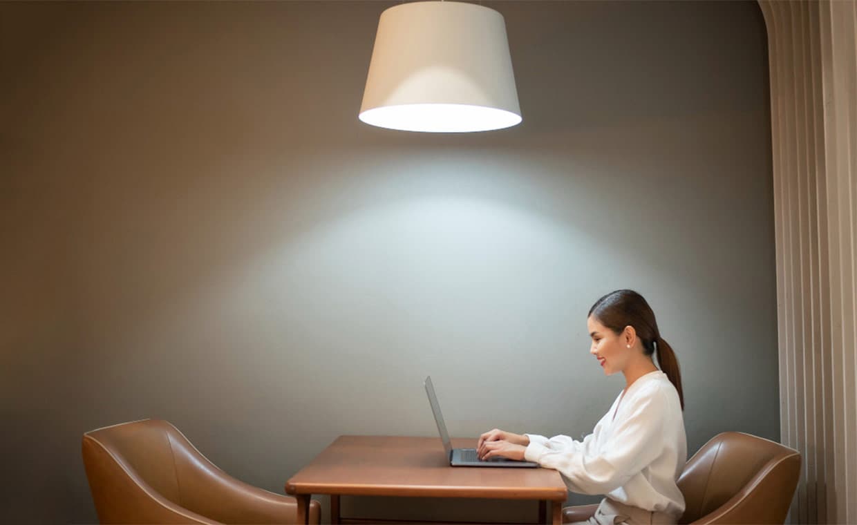 Flexible Lighting Solutions Flexible Lighting Solutions