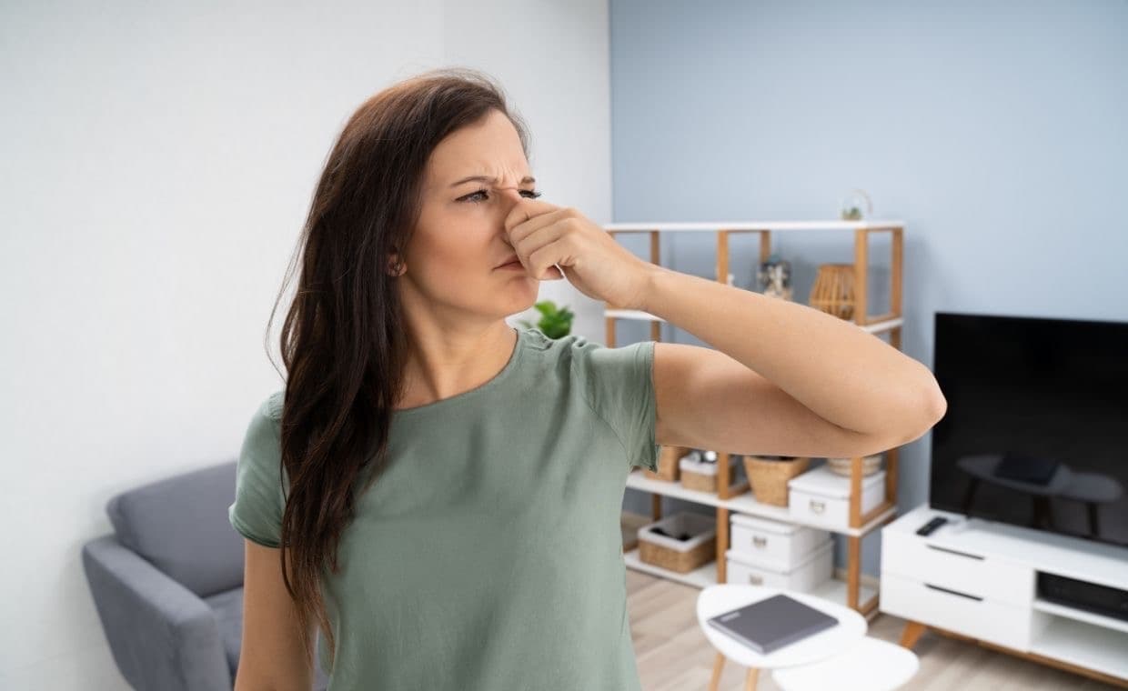 Sewage Smell in House Sewage Smell in House