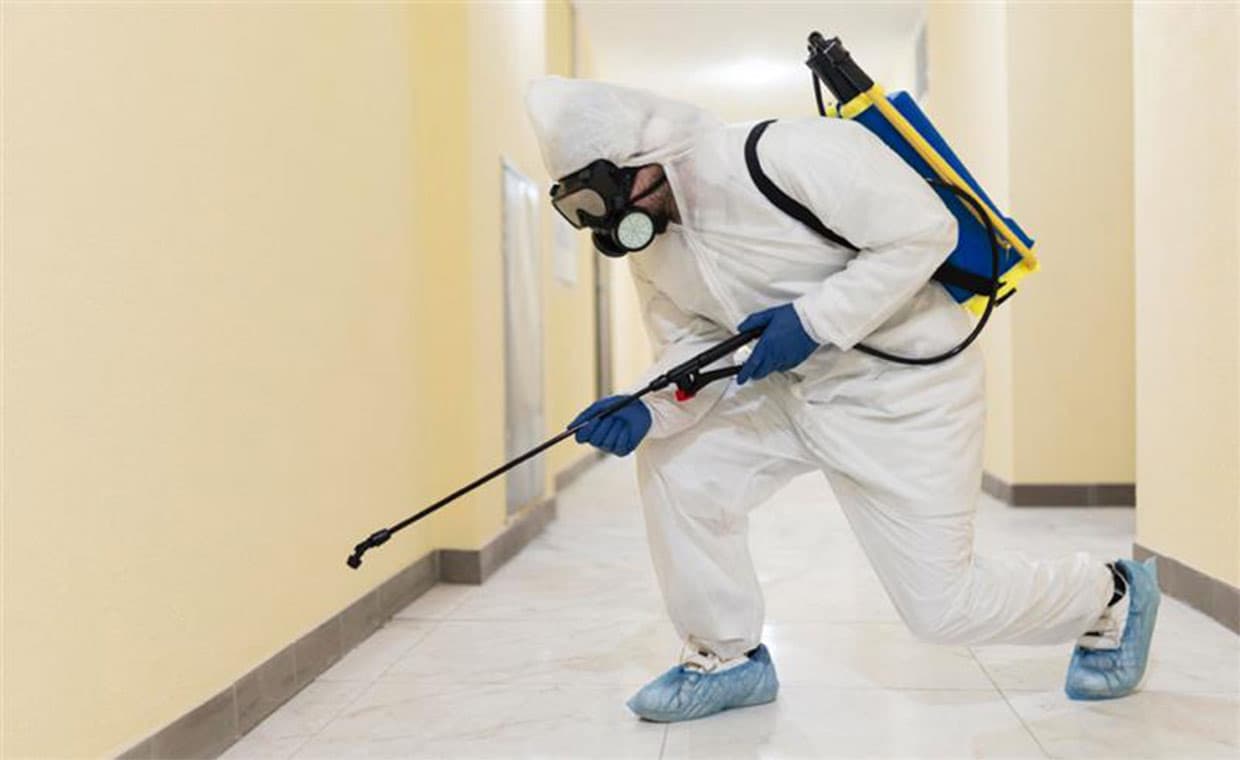 Efficient Pest Control Services Efficient Pest Control Services