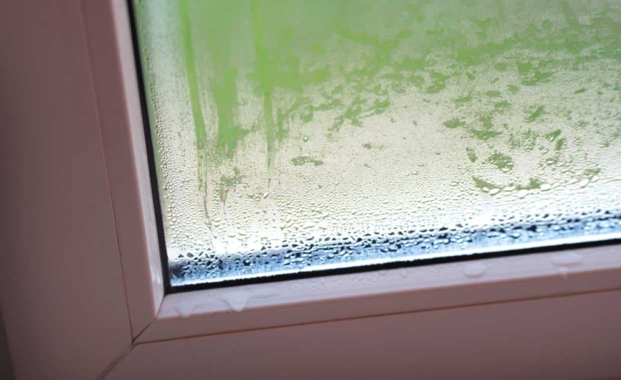 Leaking Windows Leaking Windows