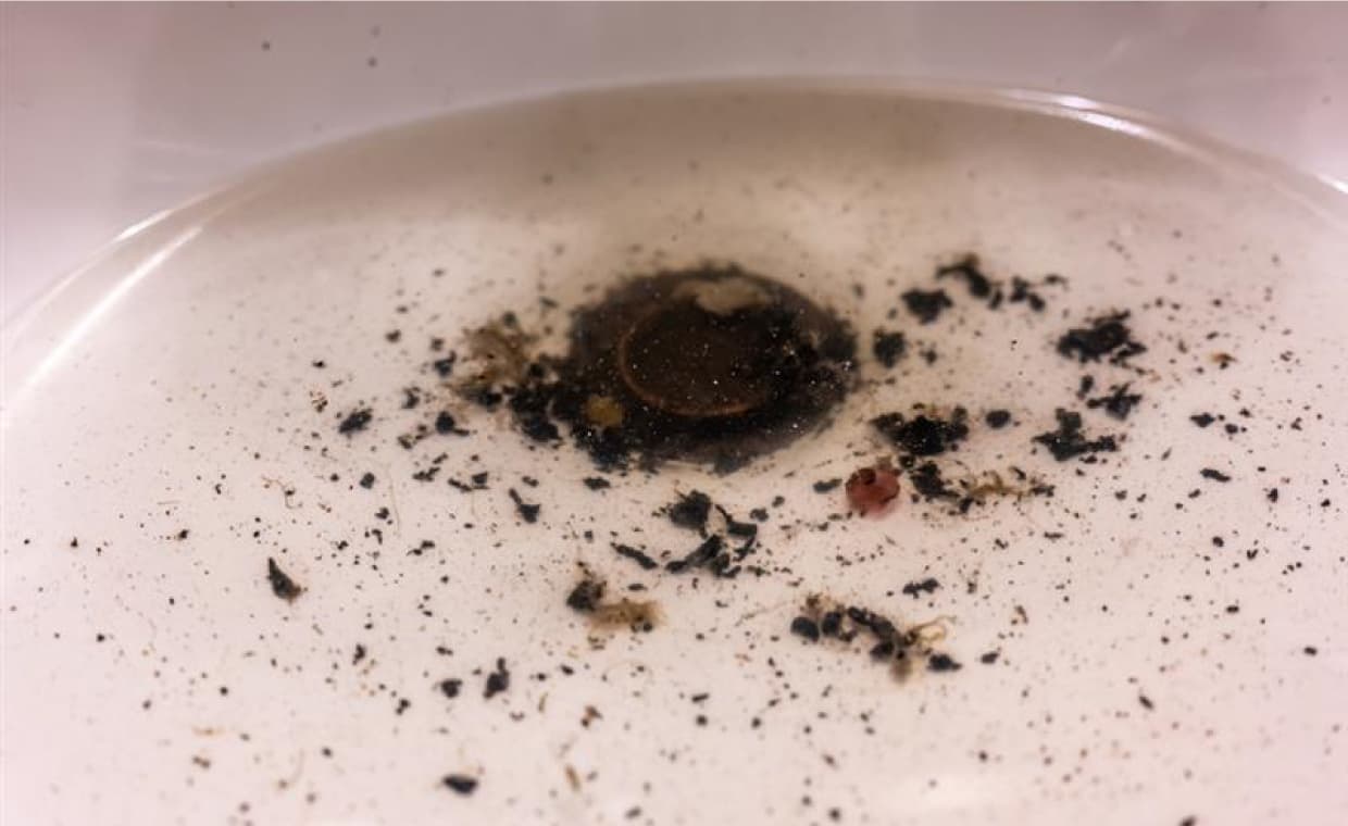 Sewer Line Fail Sewer Line Fail