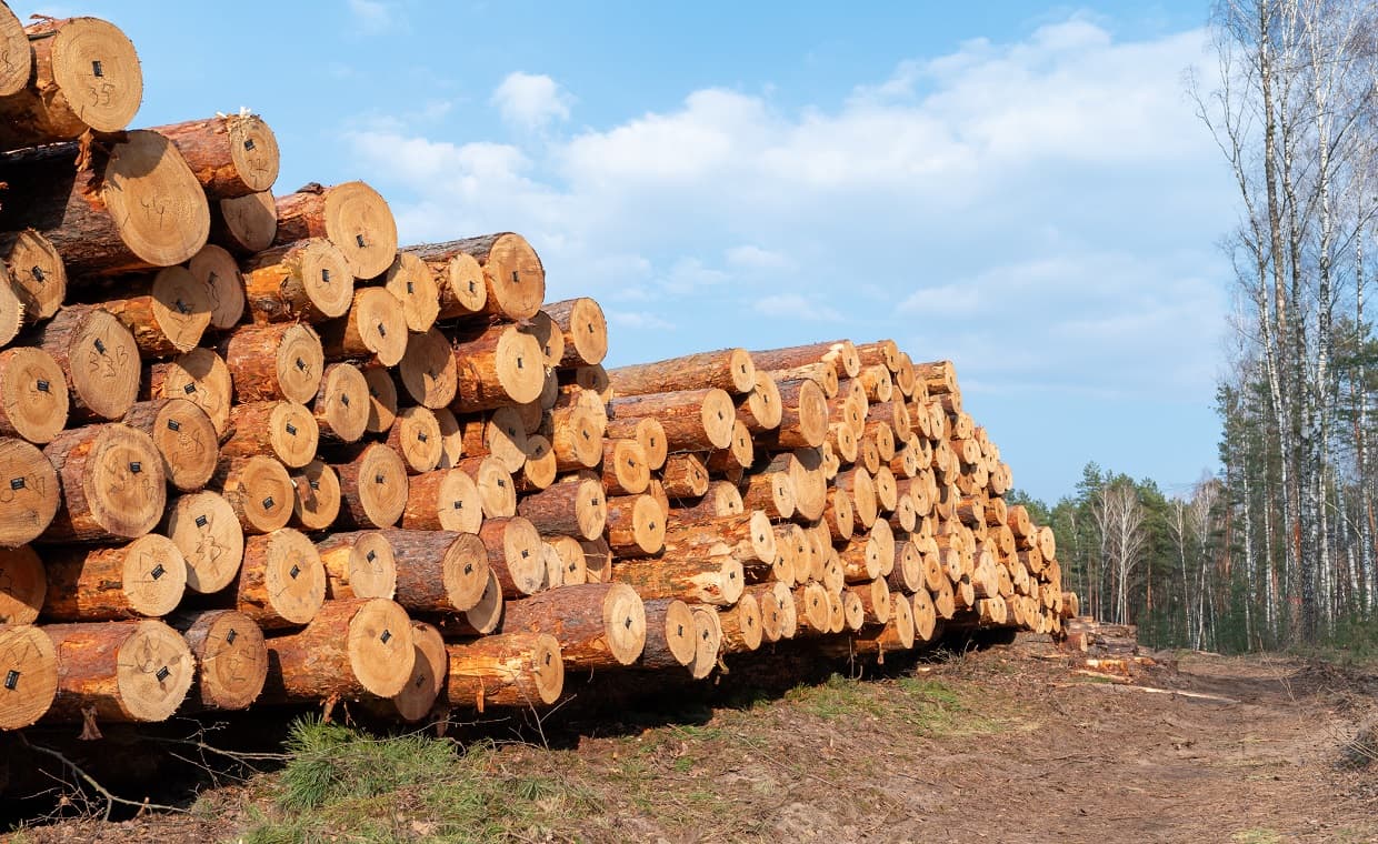 Ohio Timber Ohio Timber